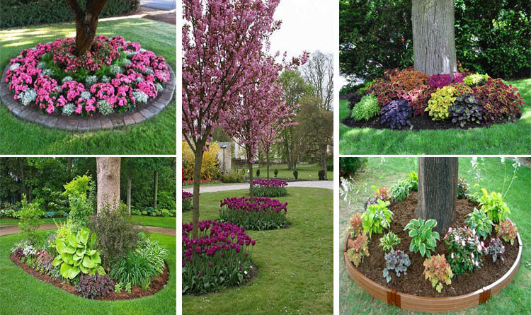 18 Genius Flower Beds Around Trees You Need To See