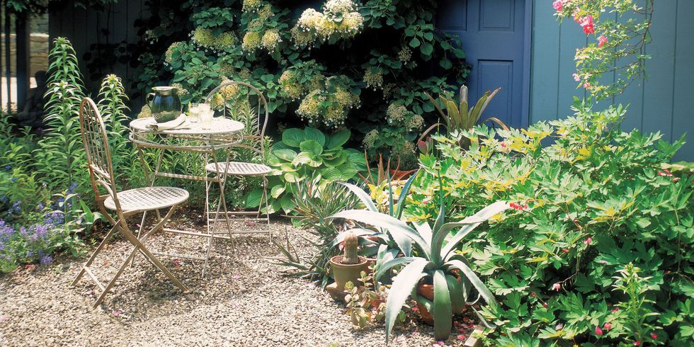 12 Budget-Friendly Ways to Make Your Yard Look Professionally Landscaped