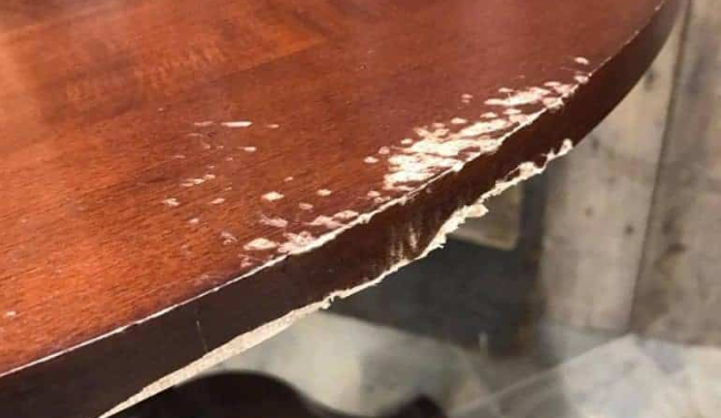 How to Fix Chew Marks on Furniture