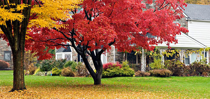 Tips for Selling Your Home in the Fall and Winter