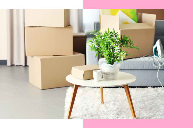 These Are the Best Moving Boxes for Every Type of Move